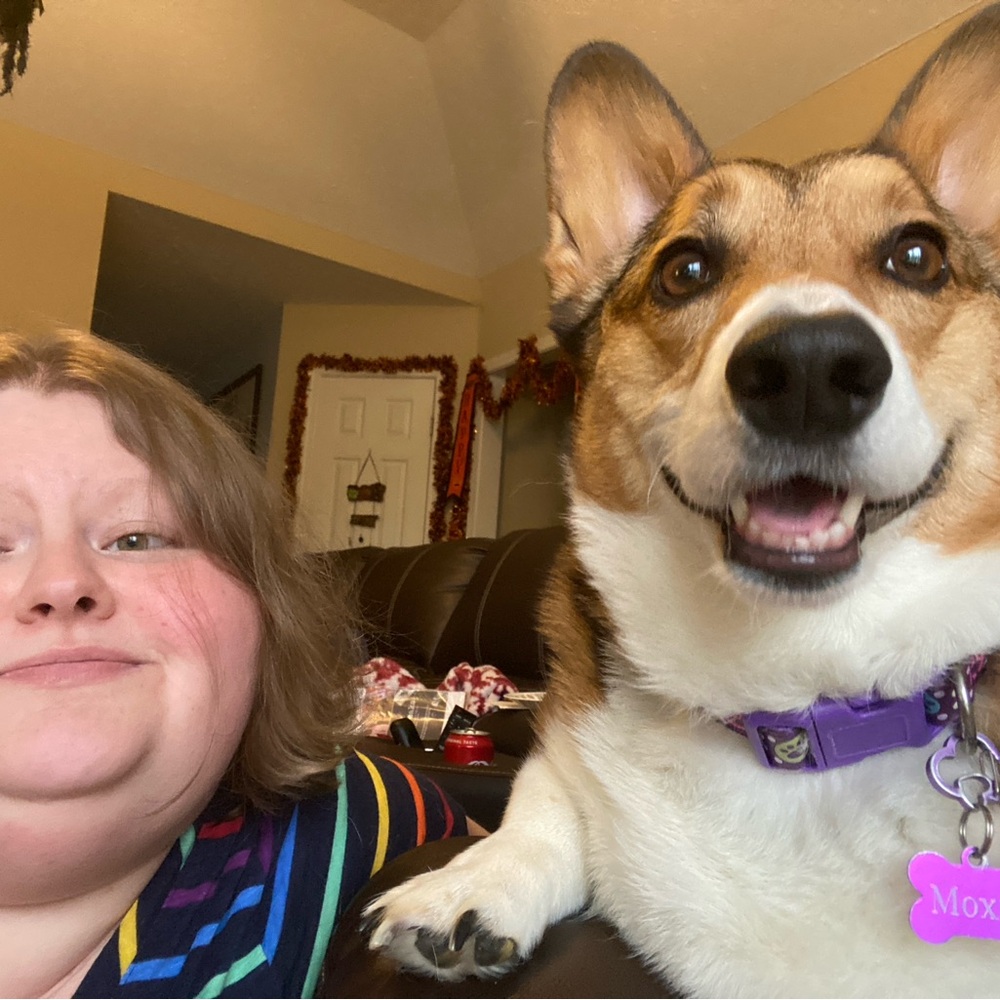 Meet your Poshers, Kryz and Moxie the corgi.